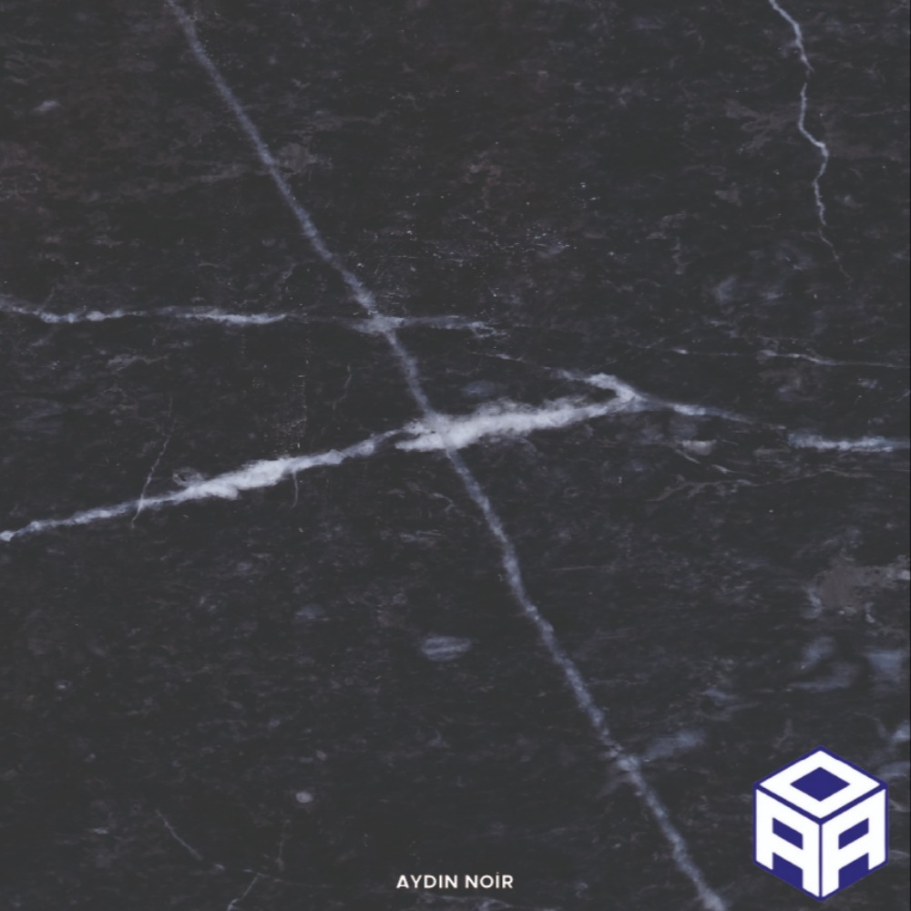 AYDIN NOİR